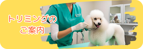 メディカルトリミング