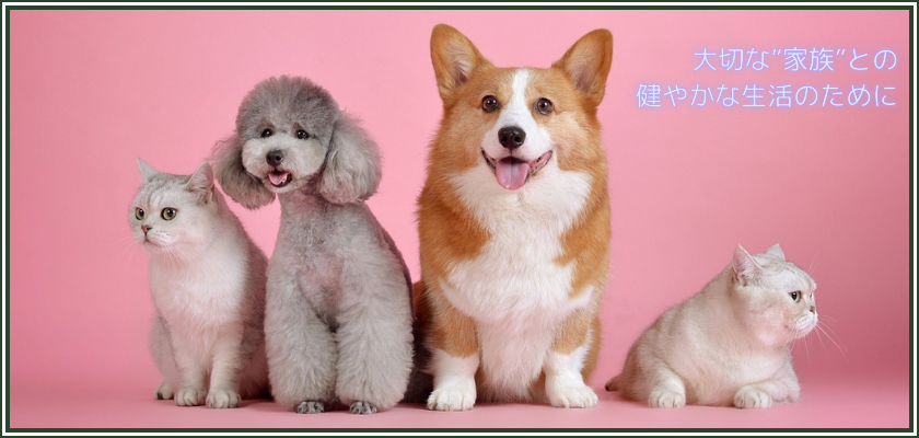 大切な「家族」との健やかな生活のために